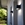 Aplique Lutec exterior de pared moderno GEMINI L - Imagen 2