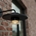Aplique Lutec exterior de pared moderno PLATO - Imagen 2