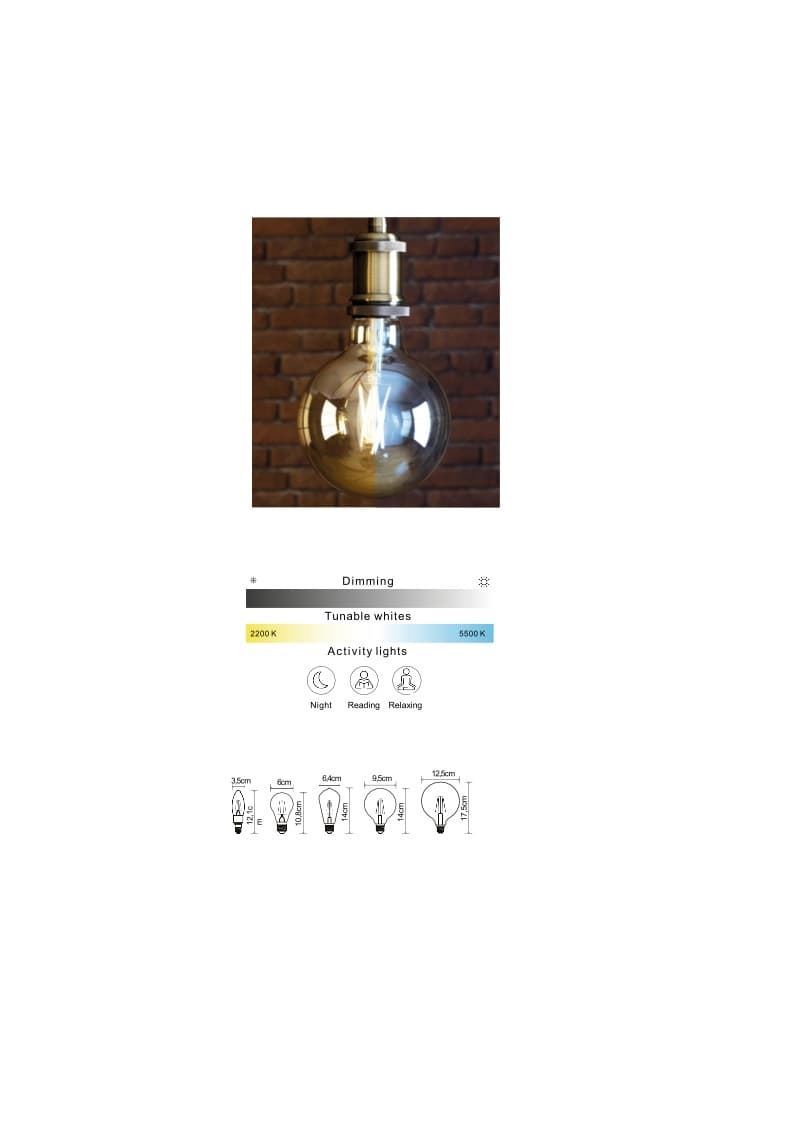 Bombilla Edison de led Connect - Imagen 2