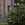 Farola Lutec exterior PINE - Imagen 2