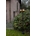 Farola Lutec exterior PINE - Imagen 2