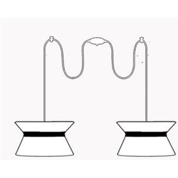 Lámpara de techo moderno DRAC 2 luces Personalizable - Imagen 1