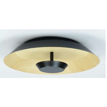 Plafón/ aplique moderno BROOKLYN 25 - Imagen 2